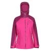 Ladies Jackets & Bodywarmers Regatta Ladies Birchdale Jacket -VIVID VIOLA
