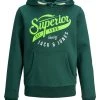 Jack & Jones JNR Jack & Jones JJELOGO2 Boys Hoody -GREEN Kids Hoodies & Sweatshirts