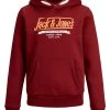 Jack & Jones JNR Jack & Jones JJELOGO2 Boys Hoody -SUN DRIED TOMATO Kids Hoodies & Sweatshirts