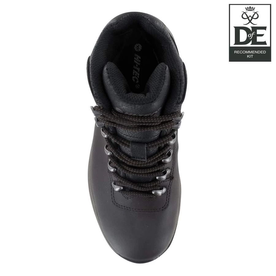 Ladies Footwear Hi Tec Ladies Eurotrek Lite Waterpoof Walking Boots -DARK CHOCOLATE