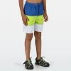 Regatta Kids Shaul III Swim Shorts -NAUTICAL BLUE