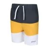 Regatta Kids Shaul III Swim Shorts -SEAL GREY Swimwear