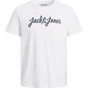 Mens Polos, Tees & Shirts Jack & Jones JORTRISTANS Tee -WHITE