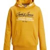 Jack & Jones JNR Kids Hoodies & Sweatshirts Jack & Jones JJHERRO Boys Hoody -GOLD