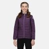 Regatta Kids Helfa Padded Jacket -AUBERGINE Kids Jackets & Bodywarmers