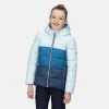 Kids Jackets & Bodywarmers Regatta Kids Lofthouse V Padded Jacket -ICE