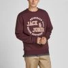 Mens Hoodies & Sweatshirts Jack & Jones JORARON Sweatshirt -GRAPE