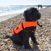 Typhoon Totland Dog Vest Life Jackets And Buoyancy Aids