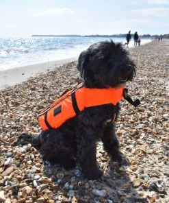 Typhoon Totland Dog Vest Life Jackets And Buoyancy Aids