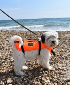 Typhoon Totland Dog Vest Life Jackets And Buoyancy Aids