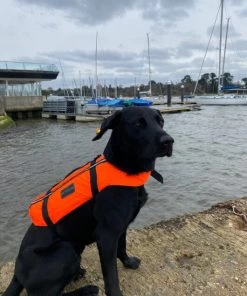 Typhoon Totland Dog Vest Life Jackets And Buoyancy Aids