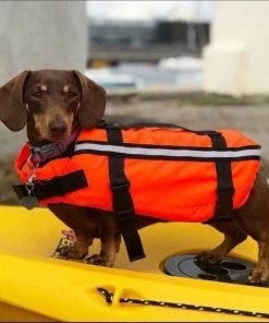 Typhoon Totland Dog Vest Life Jackets And Buoyancy Aids