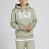 Jack & Jones JJECORP Big Logo Hoody -TEA