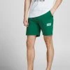 Jack & Jones JPSTNEWSOFT Sweat Shorts -TREKKING