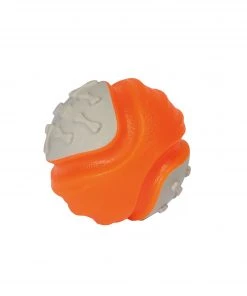 Regatta TPR Ball Dog Accessories