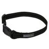 Regatta Dog Collar