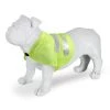 Regatta Dog Reflective Vest Dog Accessories