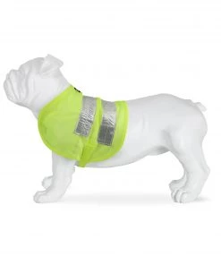 Regatta Dog Reflective Vest Dog Accessories
