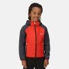 Kids Jackets & Bodywarmers Regatta Kids Kielder V Hybrid Jacket -FIERY RED