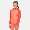 Kids Jackets & Bodywarmers Regatta Kids Kielder V Hybrid Jacket -CORAL