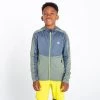 Kids Fleeces & Midlayers Dare2b Kids Hastily Stretch Top -AGAVE GREEN