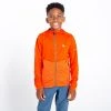 Kids Fleeces & Midlayers Dare2b Kids Hastily Stretch Top -BURNT SALMON