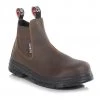 Performance Brands Pictor Dealer Boot PB290 All